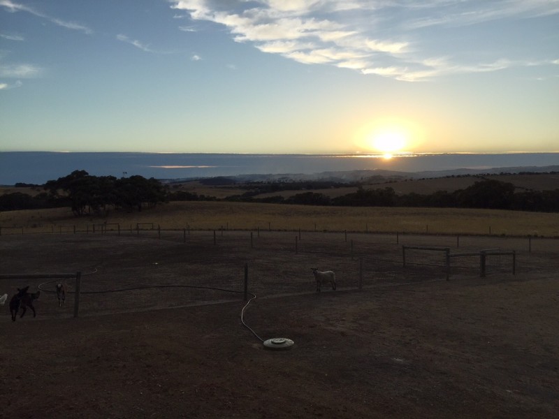 150 HUNTS ROAD, Mount Compass SA 5210