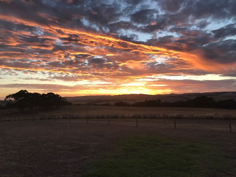 150 HUNTS ROAD, Mount Compass SA 5210