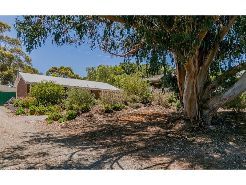8 DAVID STREET, Mccracken SA 5211