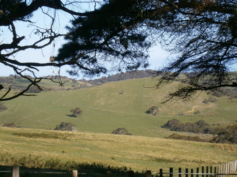 0 Pambula Rd, Hindmarsh Tiers SA 5202