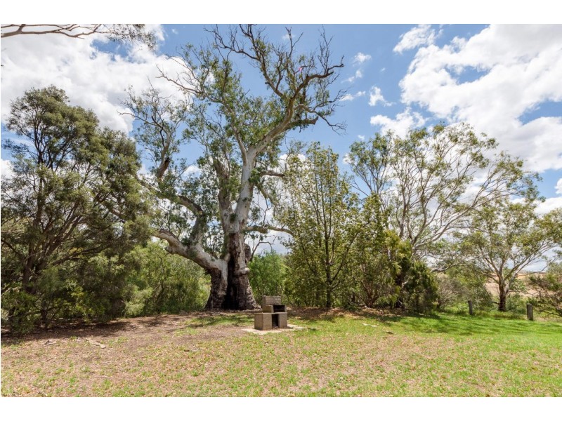 25 MANSE ROAD, Strathalbyn SA 5255