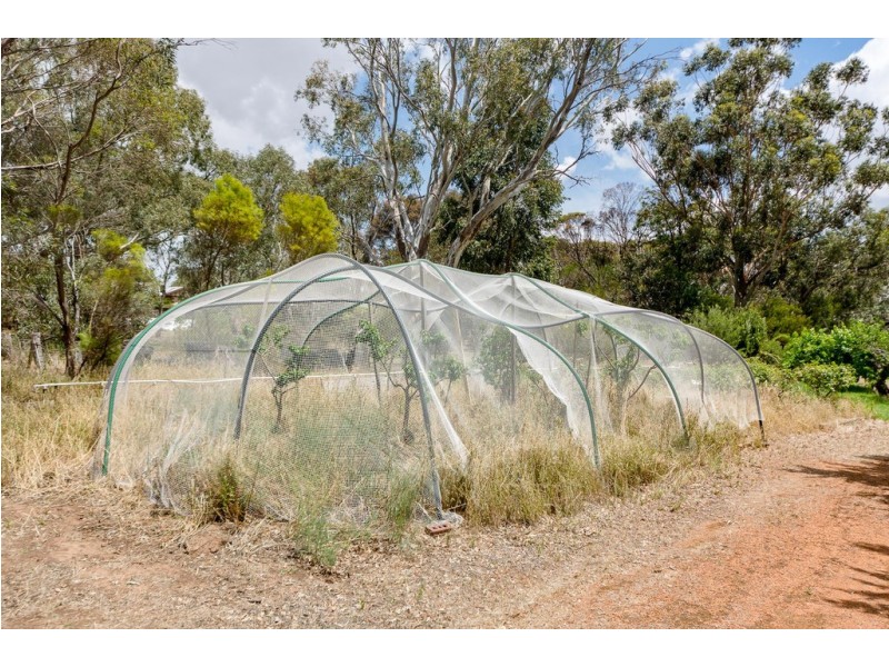 25 MANSE ROAD, Strathalbyn SA 5255