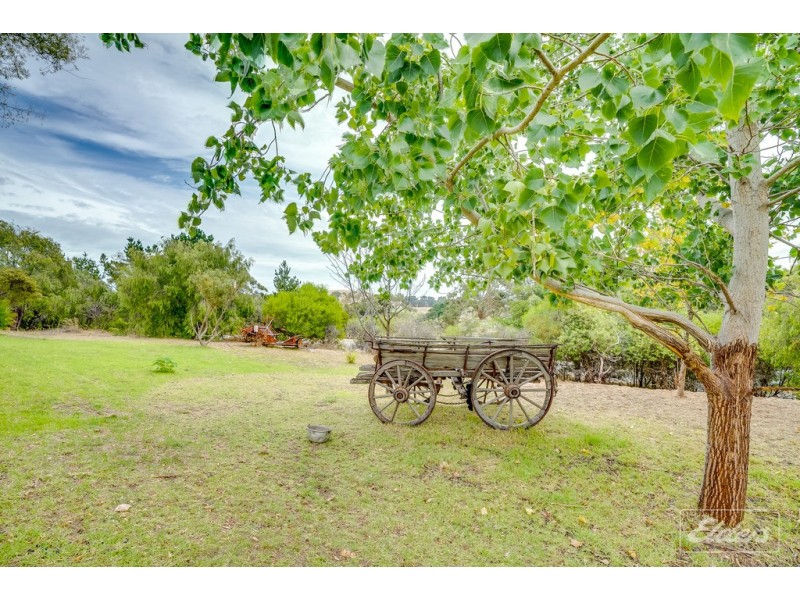 25 SPRINGVALE TERRACE, Mount Compass SA 5210