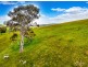 7595 Main South Road, Second Valley SA 5204