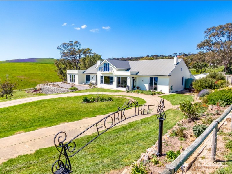 954 FORKTREE ROAD, Carrickalinga SA 5204