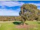 149 GREENHILLS ROAD, Lower Inman Valley SA 5211