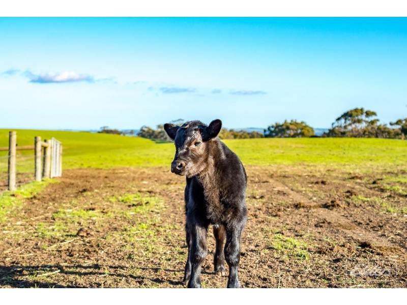 643 Springmount Road, Inman Valley SA 5211