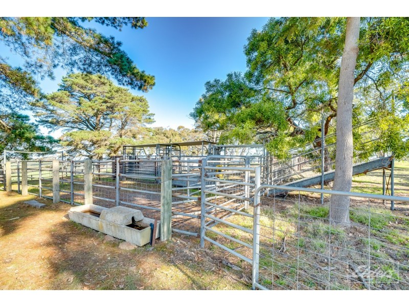 643 Springmount Road, Inman Valley SA 5211