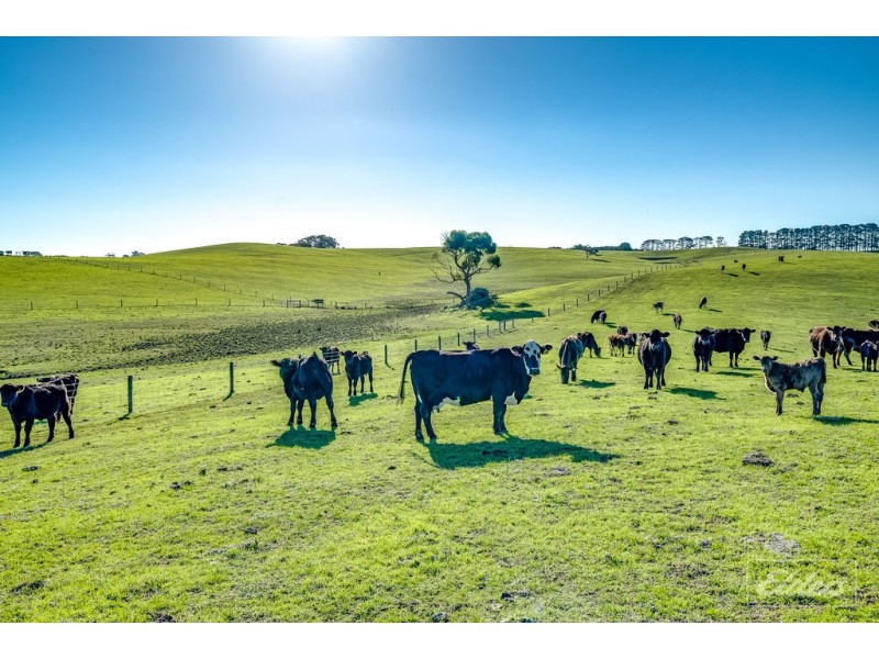 643 Springmount Road, Inman Valley SA 5211