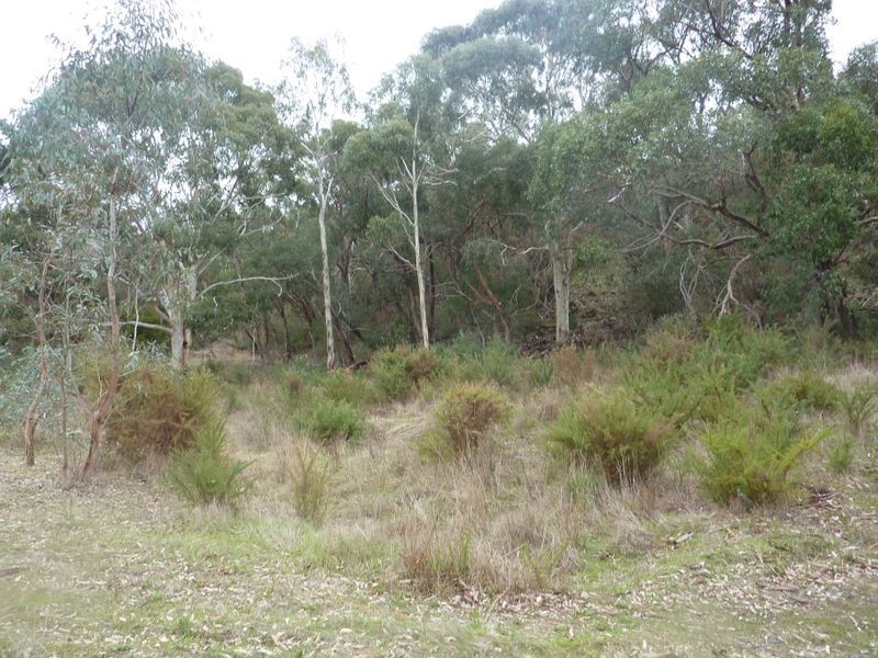 209 Jacksons Hill Road, Gumeracha SA 5233