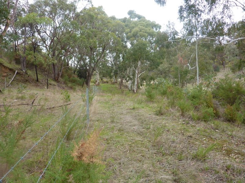 209 Jacksons Hill Road, Gumeracha SA 5233