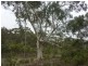 209 Jacksons Hill Road, Gumeracha SA 5233