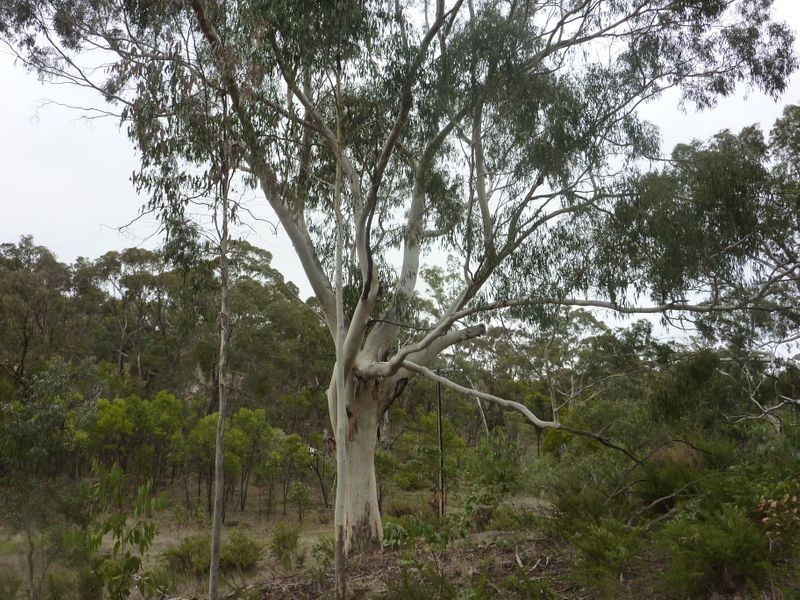 209 Jacksons Hill Road, Gumeracha SA 5233