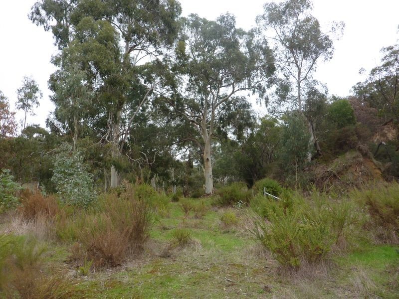 209 Jacksons Hill Road, Gumeracha SA 5233