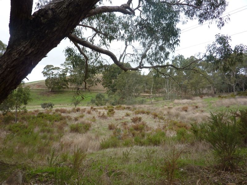 209 Jacksons Hill Road, Gumeracha SA 5233