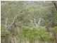209 Jacksons Hill Road, Gumeracha SA 5233