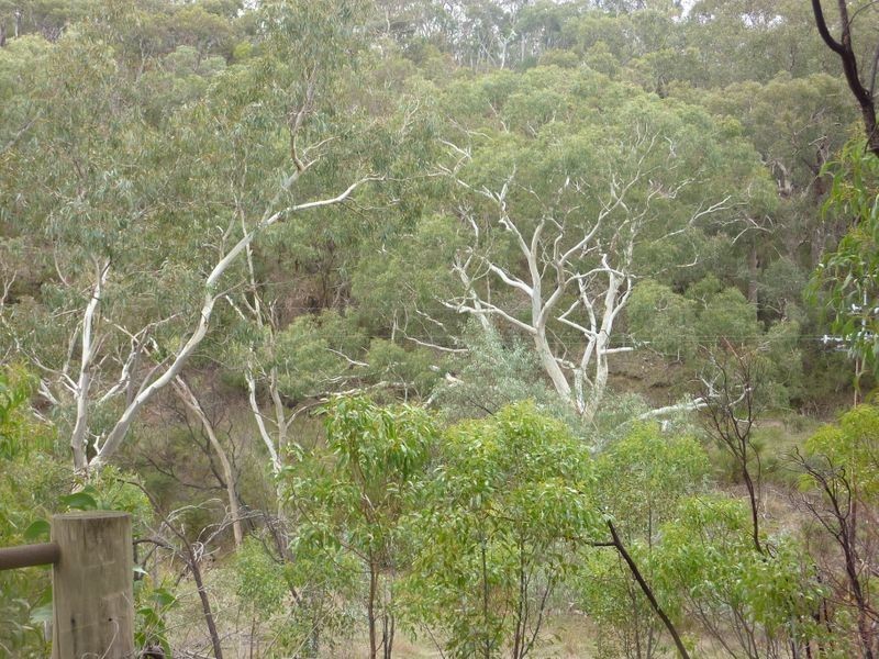 209 Jacksons Hill Road, Gumeracha SA 5233