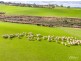 A16 and 17 1900 Range Rd, Parawa SA 5203