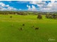 191 Woodcone Road, Mount Compass SA 5210