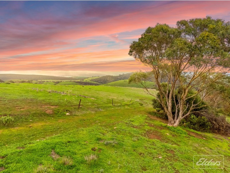 Lot 11 Braeside Road, Finniss SA 5255