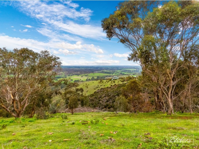 Lot 11 Braeside Road, Finniss SA 5255