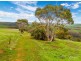 Lot 11 Braeside Road, Finniss SA 5255