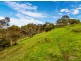 Lot 11 Braeside Road, Finniss SA 5255