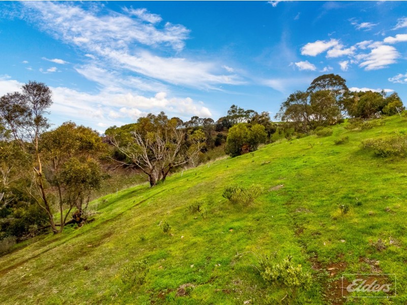 Lot 11 Braeside Road, Finniss SA 5255