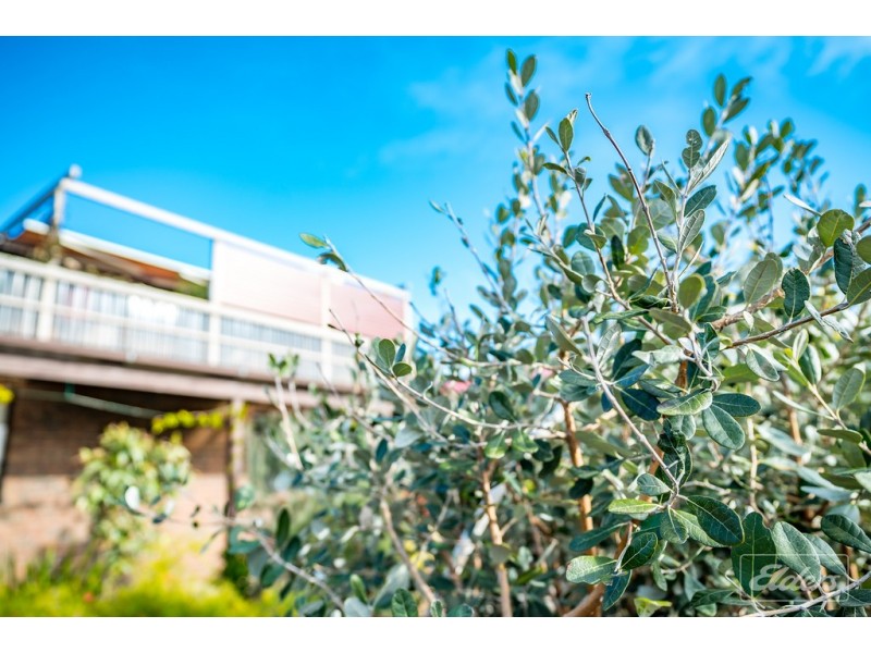 6 TRIGG STREET, Port Elliot SA 5212