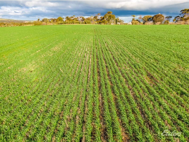 A22 Old Princes Highway, Callington SA 5254