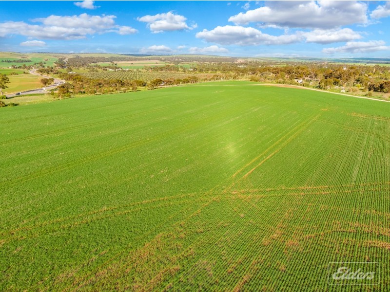 A22 Old Princes Highway, Callington SA 5254