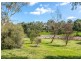 3 MATTHEW SMILLIE DRIVE, Nairne SA 5252