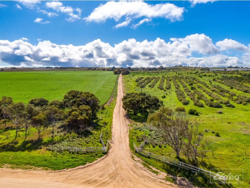 306 Lake Albert Road, Poltalloch SA 5259