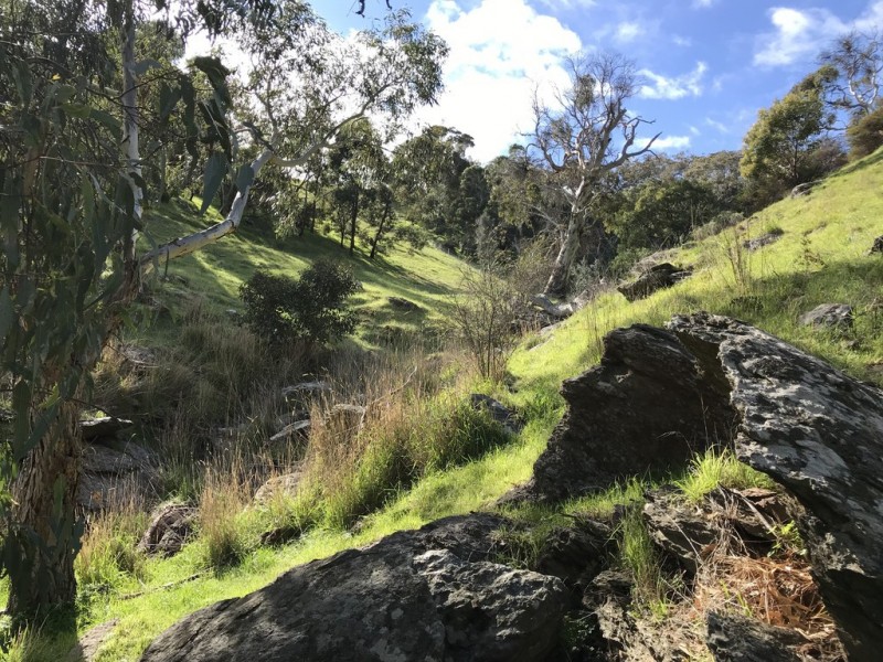 A40 Kemmiss Hill Rd, Yankalilla SA 5203