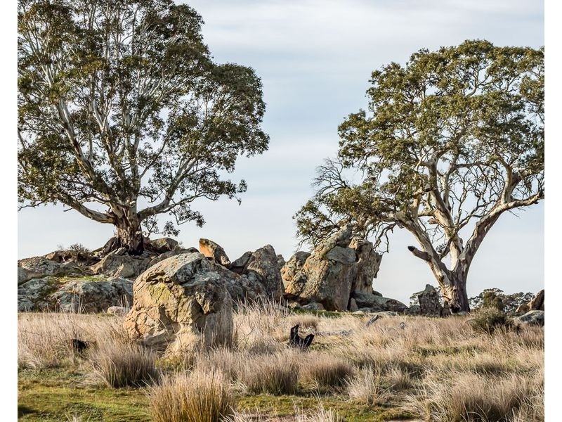 Allot 2 Prouds Access Road, Eden Valley SA 5235