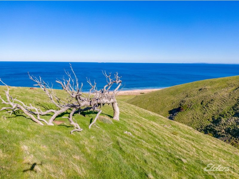 1367 TUNKALILLA ROAD, Tunkalilla SA 5203