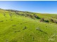 1367 TUNKALILLA ROAD, Tunkalilla SA 5203