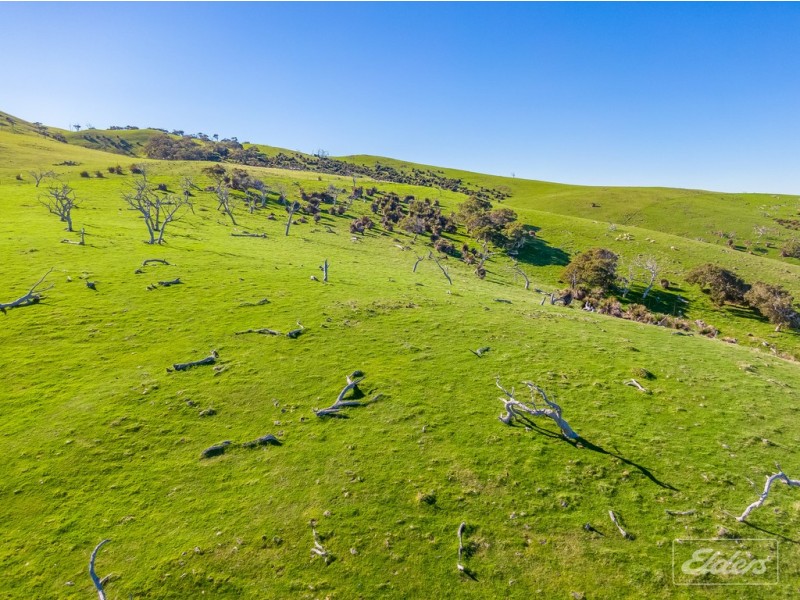 1367 TUNKALILLA ROAD, Tunkalilla SA 5203