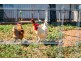 14 Stockyard Road, Monarto SA 5254
