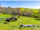 7714 Main South Road, Second Valley SA 5204