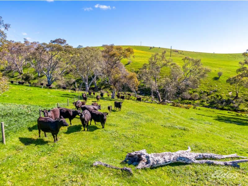 7714 Main South Road, Second Valley SA 5204