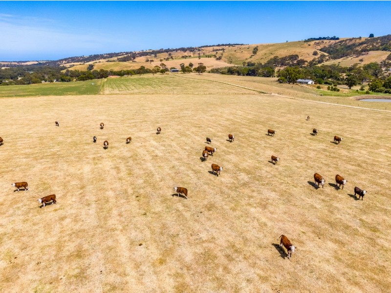 5689 Main South Road, Myponga SA 5202