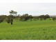 A21 Jutland Road, Springton SA 5235