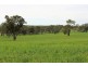 A21 Jutland Road, Springton SA 5235