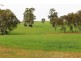 A21 Jutland Road, Springton SA 5235