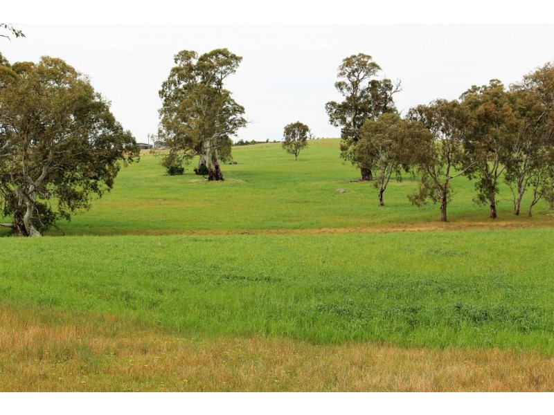 A21 Jutland Road, Springton SA 5235