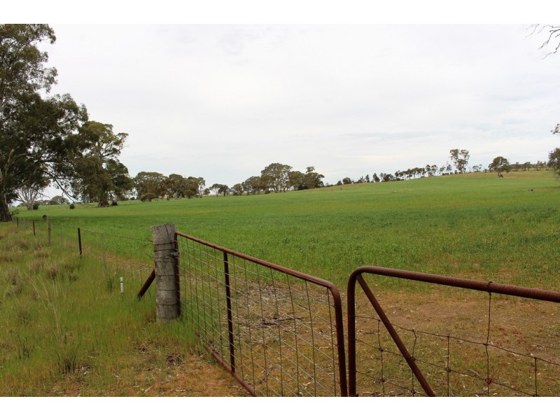 A21 Jutland Road, Springton SA 5235