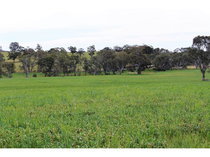 A21 Jutland Road, Springton SA 5235