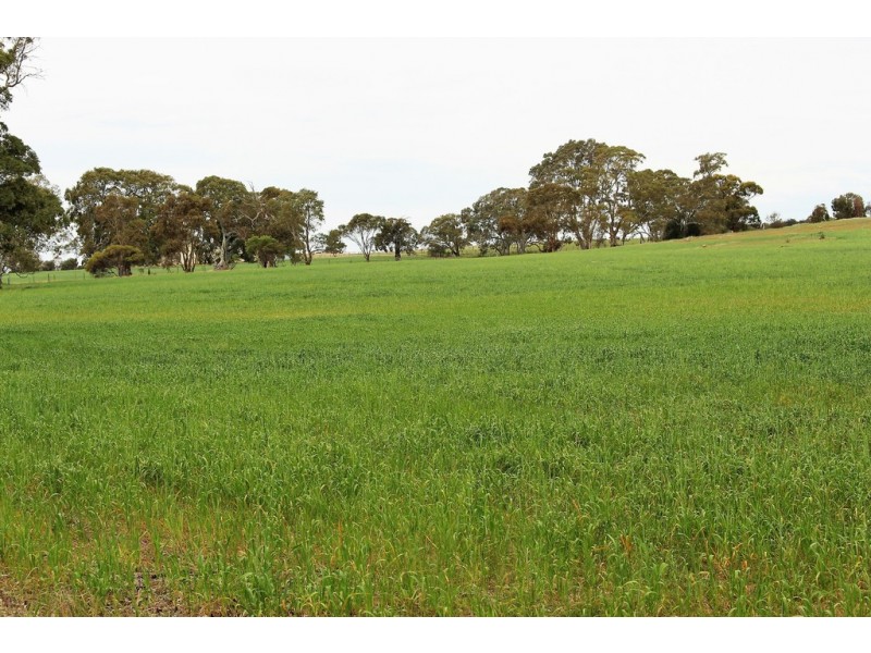 A21 Jutland Road, Springton SA 5235