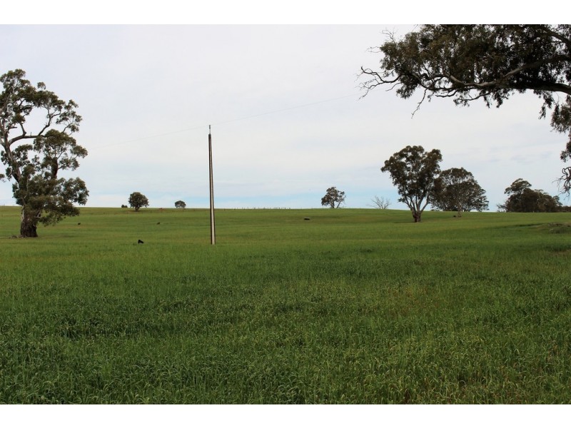 A21 Jutland Road, Springton SA 5235